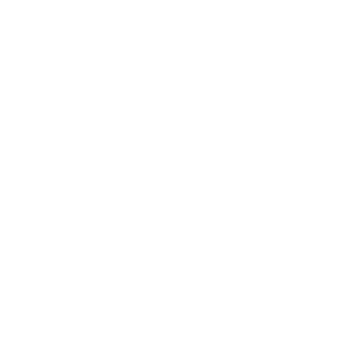 VANS Off the Wall